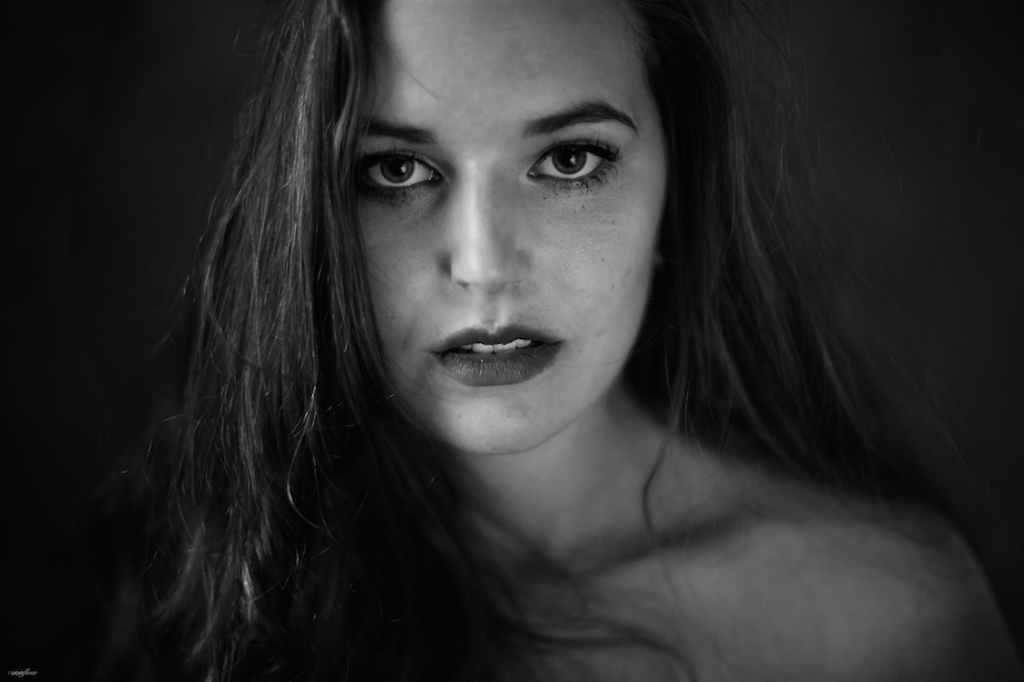 Portrait 3 4 The History Of The Soul